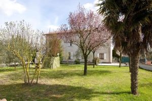 A garden outside Torretta d'Assisi