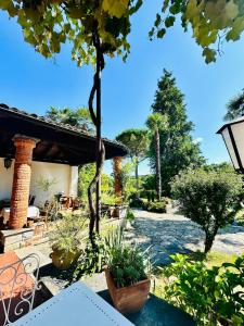 a patio with a table and chairs and a tree at Albergo della Posta in Astano +33 photos