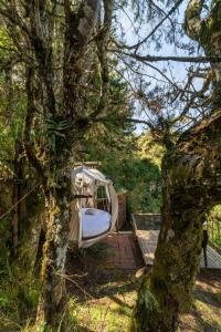 Giardino di Levit Glamping - Hotel Guatapé Peñol