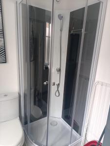 a shower with a glass door next to a toilet at Grand studio dans maison parking privé gratuit in Eschentzwiller +17 photos