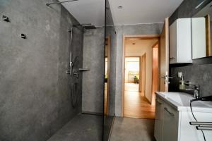 a bathroom with a shower and a sink at Ferienwohnung Zur Wolfskehln in Viereth-Trunstadt