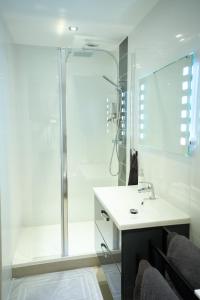 a bathroom with a shower and a sink at Le Carolo Ducal in Charleville-Mézières