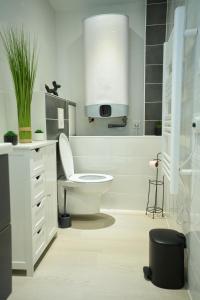 a white bathroom with a toilet and a sink at Le Carolo Ducal in Charleville-Mézières