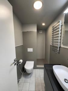 GignodにあるLes Maisons de Karen The Ski Houseのトイレと洗面台付きのバスルーム