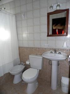 a bathroom with a toilet and a sink at Hosteria Posta Sur in El Calafate