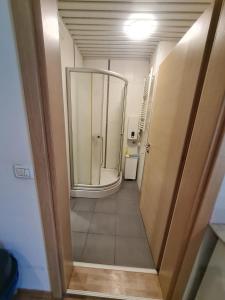 a bathroom with a walk in shower and a toilet at Hotel Room Apartment in Skopje