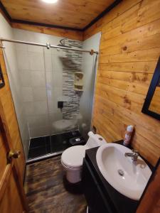 een badkamer met een toilet, een wastafel en een douche bij Casa Jaguar Neusa in Tausa Viejo +38 foto's