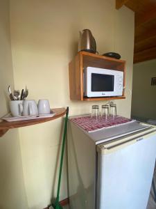 una cucina con un forno a microonde sopra un frigorifero di Apartamentos Centricos Puerto Iguazu a Puerto Iguazú
