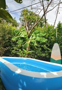 una bañera azul y blanca junto a una planta en Nanku Nimbu Casa-Bus equipada cerca de playas, en Sámara
