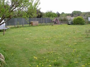 un champ avec des fleurs jaunes dans l'herbe dans l'établissement Chez Didier Emplacements tentes et Camping cars, à Saint-Pavace