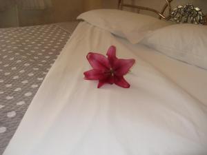 Postel nebo postele na pokoji v ubytování B&B Nelly