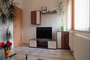 Μια τηλεόραση ή/και κέντρο ψυχαγωγίας στο Carolas Ferienwohnungen im Ostseebad Heringsdorf