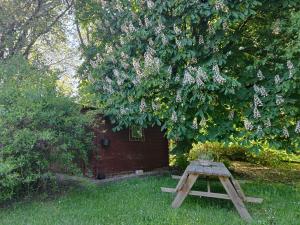 a picnic table under a tree in a yard at L'Escale Gourmande in Hatrival