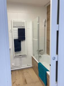 ein Badezimmer mit Dusche und Badewanne in der Unterkunft Paris 42m Studio plus terrace in Paris + 19 Fotos