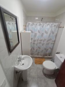 a bathroom with a toilet sink and a shower curtain at Departamento Olivia in Ushuaia
