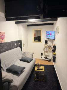 un salon avec un lit et une télévision dans l'établissement Logements jacuzzi silencieux, à Deuil-la-Barre