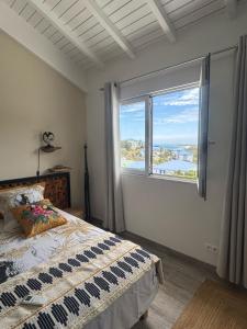 a bedroom with a bed and a large window at Traveler's Tree Palm House in Cul de Sac +38 photos