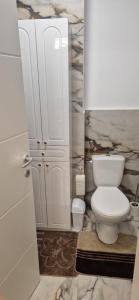 a bathroom with a white toilet in a room at LuxAsher in Floreşti +6 photos