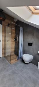 a bathroom with a toilet and a glass shower at Stryszek in Gdynia