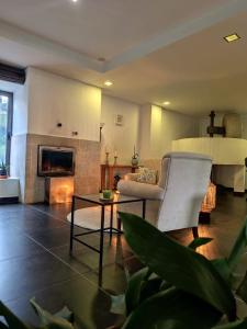 a living room with a couch and a fireplace at Casa do Engenho in Caldas de São Jorge