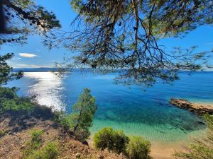 a view of a lake from a tree at Apartmani Marijana in Bol +24 photos