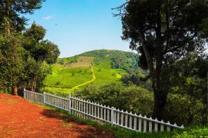 Φωτογραφία από το άλμπουμ του Amber by The Tamarillo σε Ooty