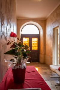Galeriebild der Unterkunft Anchi Guesthouse in Dubrovnik