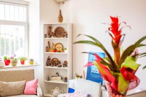Galeriebild der Unterkunft Anchi Guesthouse in Dubrovnik
