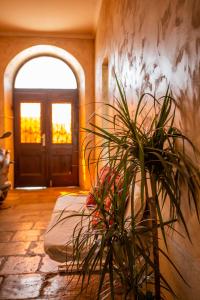 Ein Garten an der Unterkunft Anchi Guesthouse