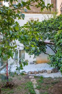 Ein Garten an der Unterkunft Anchi Guesthouse