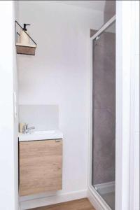 a bathroom with a sink and a shower at La Calaisienne - Grande maison 6 ch-Cinéma privé & bar-Tourcoing in Tourcoing +23 photos