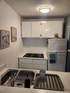 圣胡安Walking beach distance studio in Miramar San Juan的一个小厨房，里面有水槽和炉灶。
