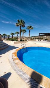 a swimming pool with palm trees in the background at قصر تل الرمان in Ar Rummān