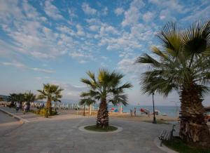 a group of palm trees on the beach at Del Mar in Nea Vrasna