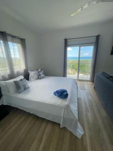 a bedroom with a large bed and a large window at Villa Pierre in Las Terrenas +22 photos