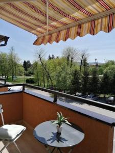 a patio with a table and a chair and an umbrella at Sofija in Veliko Gradište