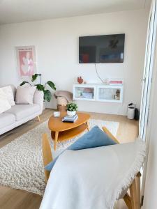 TV a/nebo společenská místnost v ubytování Top apartment with stunning views- 15 min Zurich HB- Self Check-in