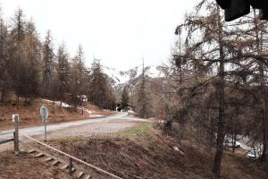 Príroda v okolí apartmánu