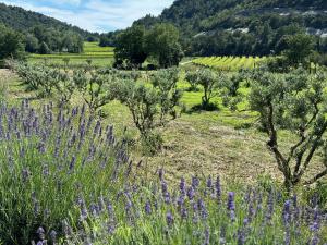 Gallery image of Mas le bel Ami in Entrechaux