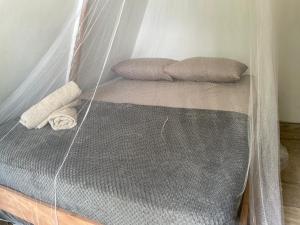 a bed with a net in a room at Cascada escondida glamping in Santa Marta