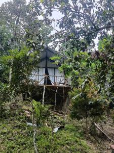 Zahrada ubytování Escape Leuser Glamping