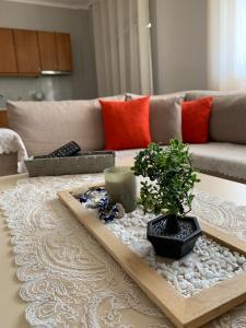 O zonă de relaxare la Elsa house