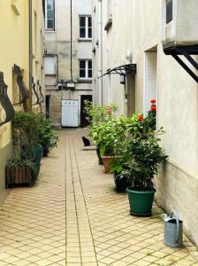 an alley with potted plants and a cat walking down it at Le Roy Soleil Classé 3 étoiles Cosy & Cœur du quartier Saint-Louis in Versailles