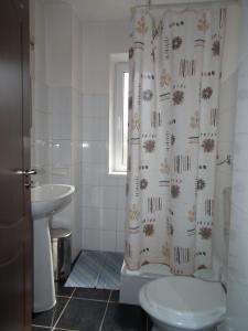 a bathroom with a toilet and a shower curtain at Pensiunea Ando in Bran +99 photos