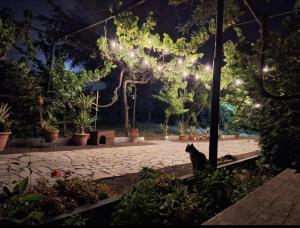 A garden outside Etna, salvia e rosmarino
