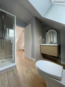 a bathroom with a toilet and a sink and a shower at Plein centre Auray - Grand duplex 2 chambres avec terrasse ensoleillée in Auray