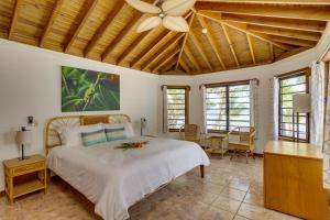 a bedroom with a bed and a ceiling fan at Beachfront Villa Deep Pool Sleeps 6 Private Suite in Maya Beach