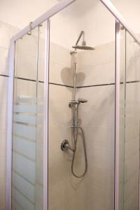 a shower with a shower head and a glass door at Rossese in Riomaggiore
