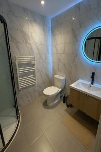 a bathroom with a toilet and a sink and a mirror at Gîte Cosy - 35 m2 - T2 Hyper Centre - Tout équipé in Langeac +20 photos