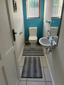 a bathroom with a toilet and a sink at Mansion De La Luna in Plettenberg Bay